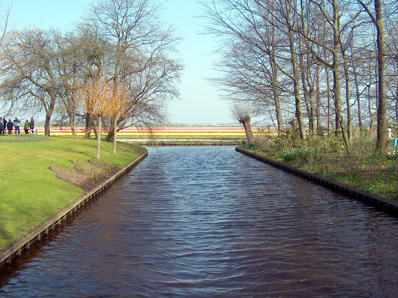 Keukenhof, Lisse